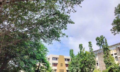 黑豆小孩子吃的功效与作用-儿童可以吃黑豆汤功效网- 小孩吃黑豆粥的功效和作用知识,分享儿童可以吃黑豆汤功效吗